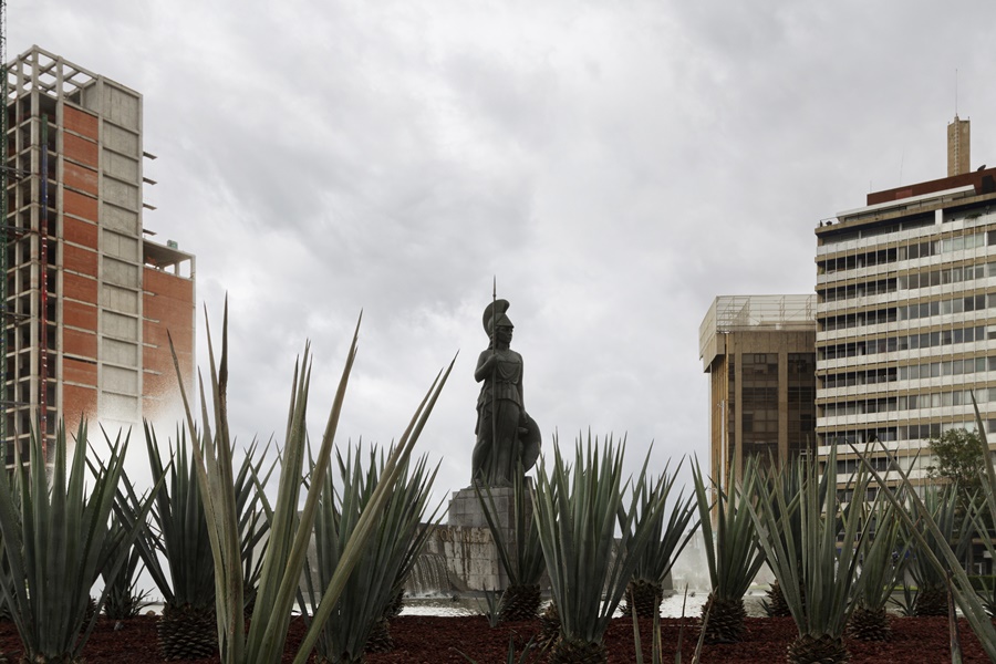 life-mexico-landscape-with-plants